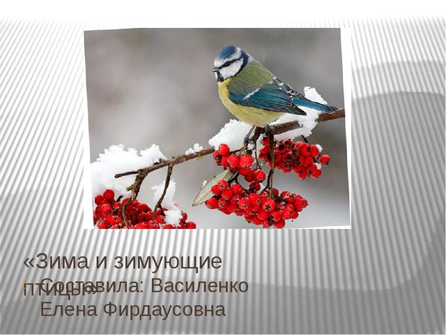Презентация на тему "Зима и зимующие птицы"