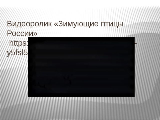 Презентация на тему "Зима и зимующие птицы"