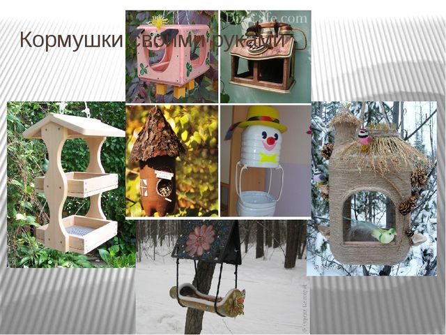 Презентация на тему "Зима и зимующие птицы"