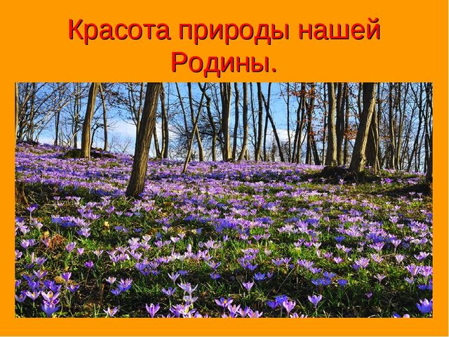 Россия- Родина моя! Патриотическое воспитание.