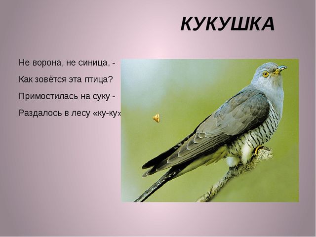 ПРЕЗЕНТАЦИЯ К ЗАНЯТИЮ "ПТИЦЫ" ДЛЯ ДЕТЕЙ 2-3 ЛЕТ