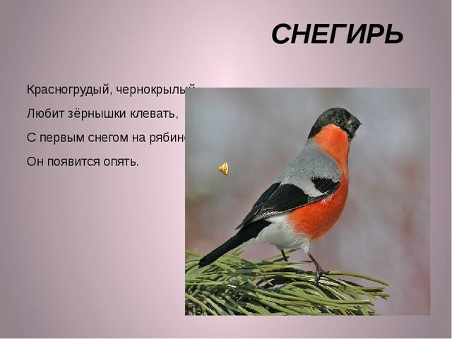 ПРЕЗЕНТАЦИЯ К ЗАНЯТИЮ "ПТИЦЫ" ДЛЯ ДЕТЕЙ 2-3 ЛЕТ