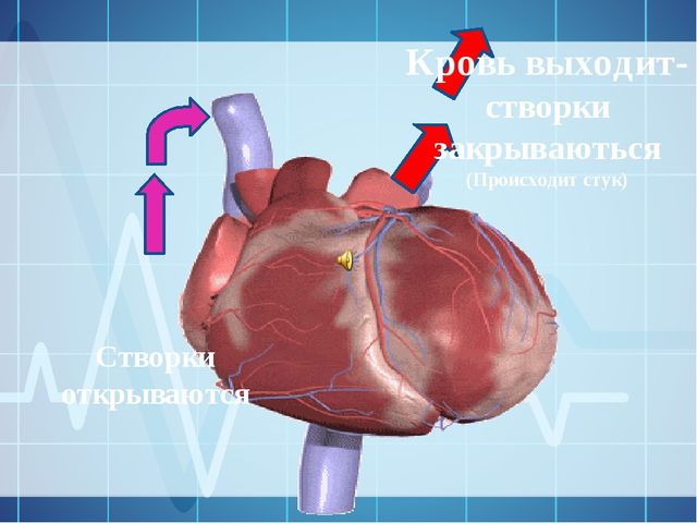 ПРЕЗЕНТАЦИЯ К ЗАНЯТИЮ "СЕРДЦЕ ДЛЯ ЖЕЛЕЗНОГО ЧЕЛОВЕКА"