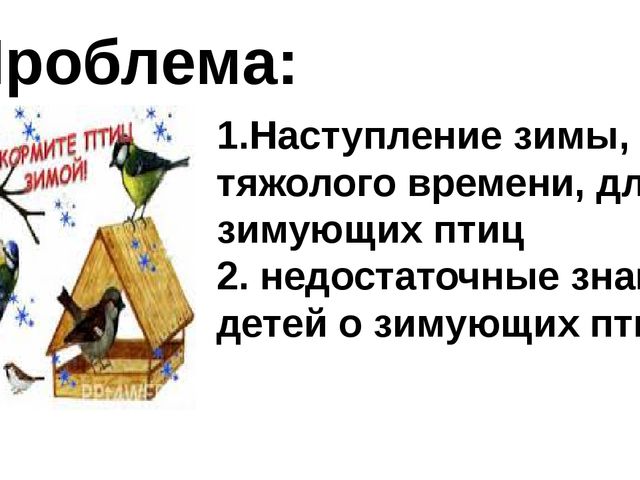 Презентация к Проекту "Покормите птиц зимой"