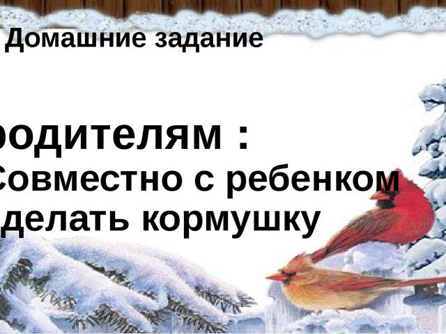 Презентация к Проекту "Покормите птиц зимой"