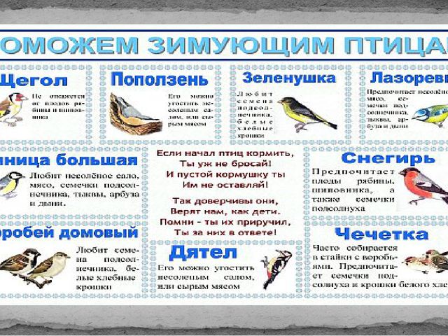 Презентация к Проекту "Покормите птиц зимой"