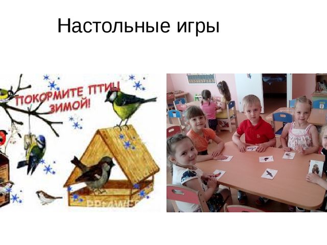 Презентация к Проекту "Покормите птиц зимой"