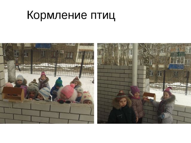 Презентация к Проекту "Покормите птиц зимой"