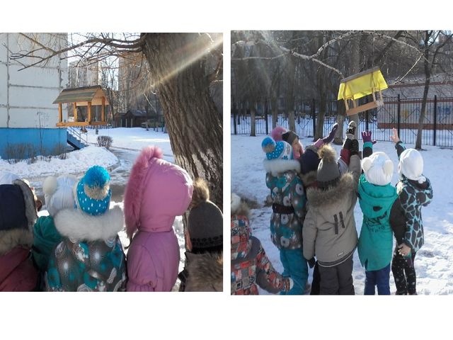 Презентация к Проекту "Покормите птиц зимой"