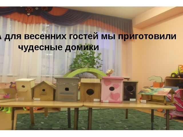 Презентация к Проекту "Покормите птиц зимой"