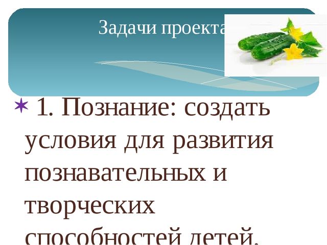 Открытый урок на тему: "Наблюдение за ростом огурца"