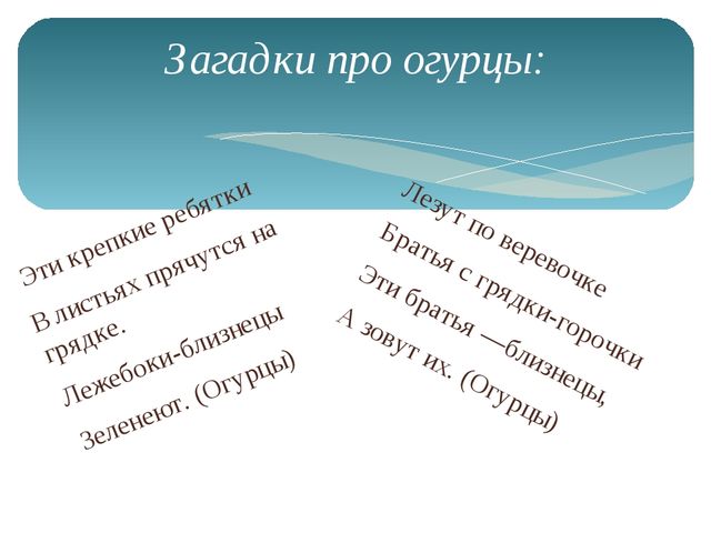 Открытый урок на тему: "Наблюдение за ростом огурца"