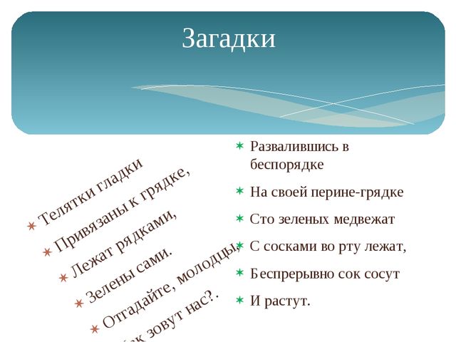 Открытый урок на тему: "Наблюдение за ростом огурца"