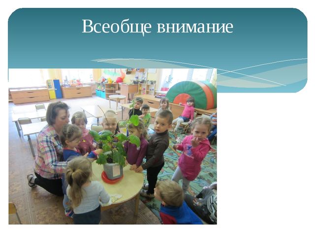 Открытый урок на тему: "Наблюдение за ростом огурца"