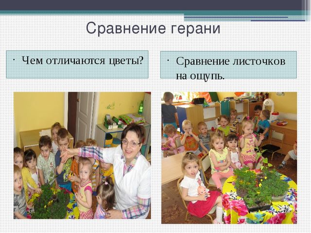 Методический совет на тему: "Влияние метода наблюдения на экологическое воспитание детей младшего дошкольного возраста