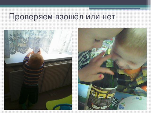 Методический совет на тему: "Влияние метода наблюдения на экологическое воспитание детей младшего дошкольного возраста