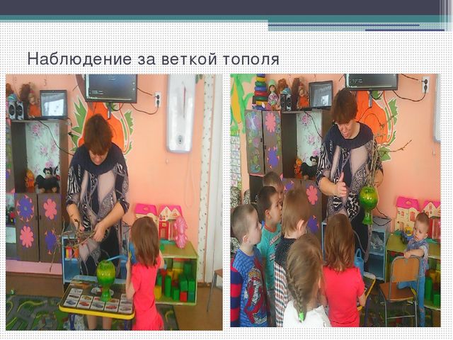 Методический совет на тему: "Влияние метода наблюдения на экологическое воспитание детей младшего дошкольного возраста
