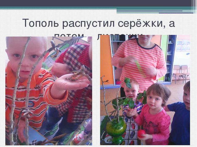 Методический совет на тему: "Влияние метода наблюдения на экологическое воспитание детей младшего дошкольного возраста