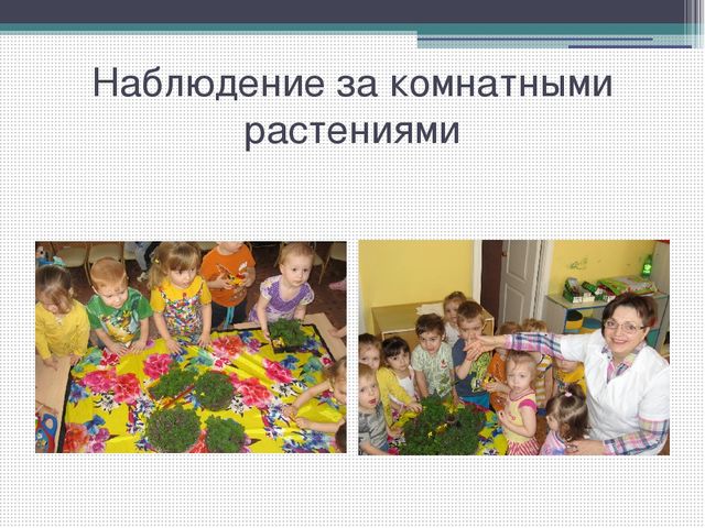 Методический совет на тему: "Влияние метода наблюдения на экологическое воспитание детей младшего дошкольного возраста