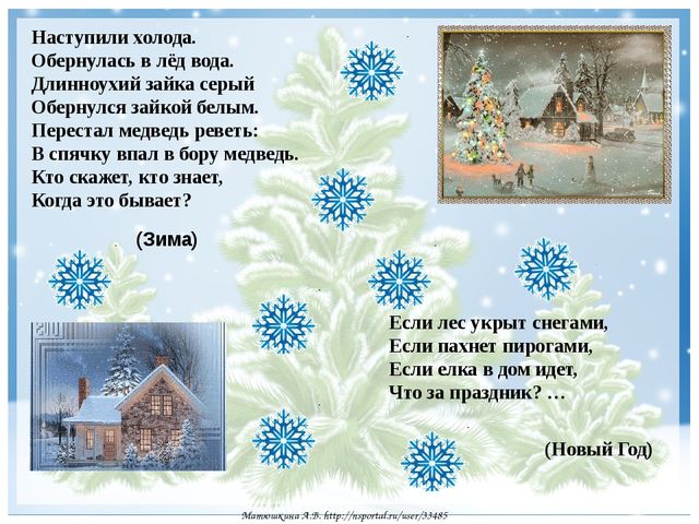 Презентация "Новогодние загадки для детей"