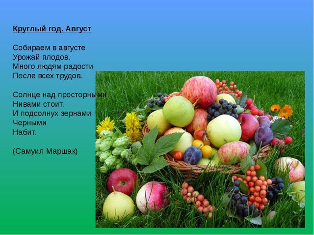 Презентация по познавательному развитию на тему "Мы рисуем лето" (Старшая группа)