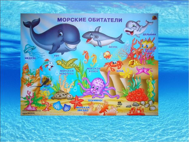 Презентация для дошкольников на тему "Морские обитатели"