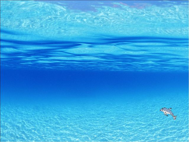 Презентация для дошкольников на тему "Морские обитатели"