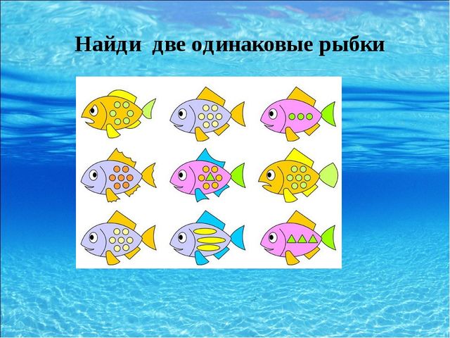 Презентация для дошкольников на тему "Морские обитатели"
