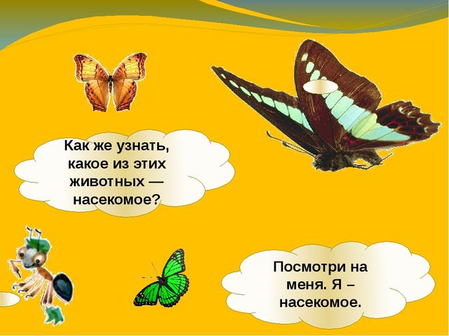 Презентация по ознакомлению с окружающим миром. Тема:" Путешествие в мир насекомых" для детей 4-5 лет.