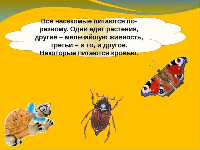 Презентация по ознакомлению с окружающим миром. Тема:" Путешествие в мир насекомых" для детей 4-5 лет.