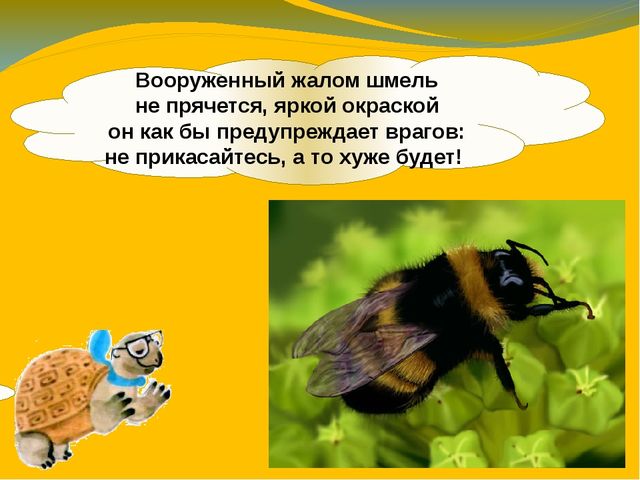 Презентация по ознакомлению с окружающим миром. Тема:" Путешествие в мир насекомых" для детей 4-5 лет.