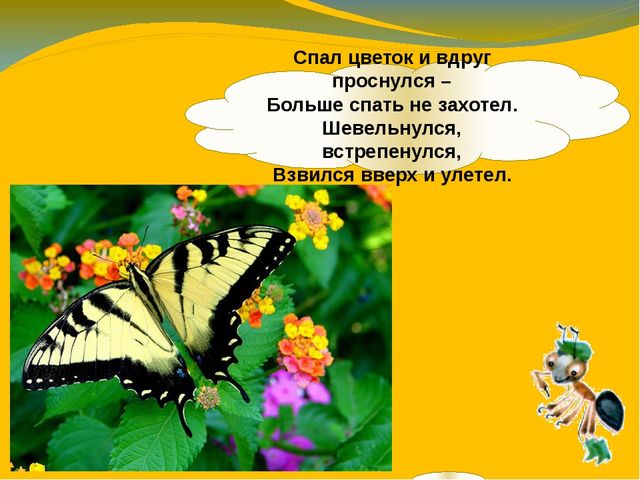 Презентация по ознакомлению с окружающим миром. Тема:" Путешествие в мир насекомых" для детей 4-5 лет.