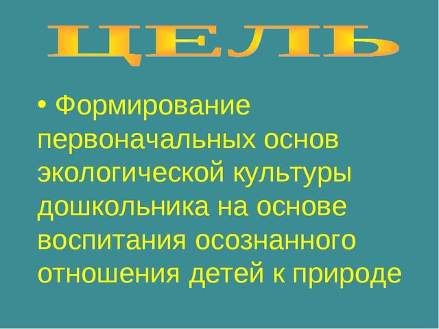 Воспитание экологической культуры у детей дошкольного возраста