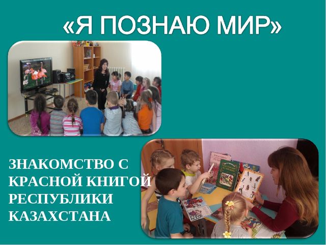 Воспитание экологической культуры у детей дошкольного возраста
