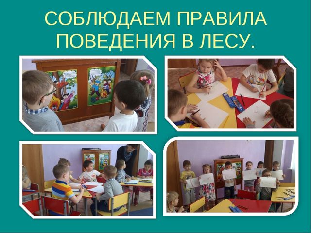Воспитание экологической культуры у детей дошкольного возраста