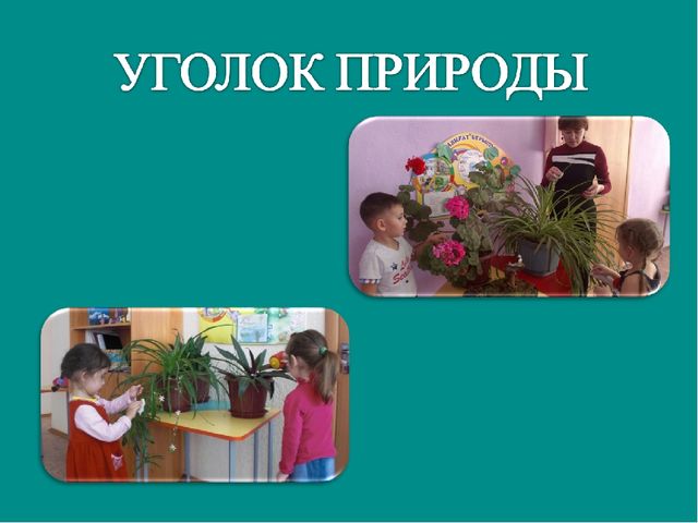 Воспитание экологической культуры у детей дошкольного возраста