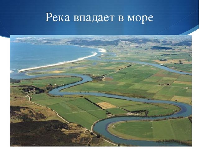 Презентация к занятию по окружающему миру на тему "Мировой океан" (подготовительная группа)