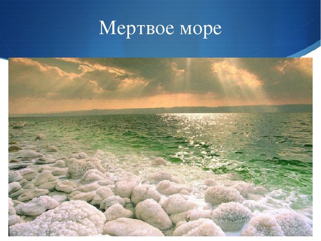 Презентация к занятию по окружающему миру на тему "Мировой океан" (подготовительная группа)