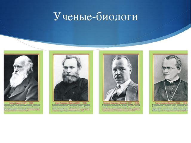 Презентация к занятию по окружающему миру на тему "Мировой океан" (подготовительная группа)