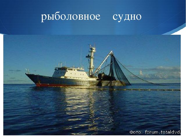 Презентация к занятию по окружающему миру на тему "Мировой океан" (подготовительная группа)