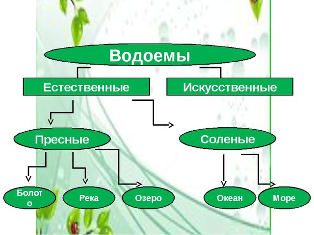 Что значит естественный человек. Классификация водоемов. Природные водоемы классификация. Классификация искусственных водоемов. Классификация прудов.