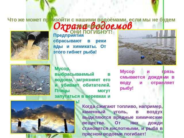 Презентация по окружающему миру "Жизнь и загадки пресного водоема"