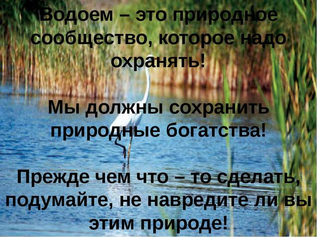 Презентация по окружающему миру "Жизнь и загадки пресного водоема"