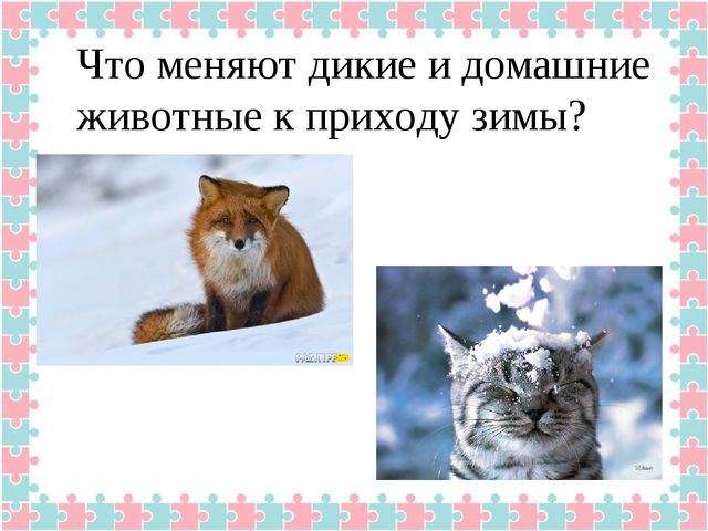Конспект открытого итогового мероприятия на тему «Зима» в подготовительной группе. Путешествие в телестудию Останкино