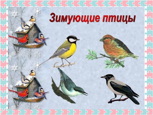 Конспект открытого итогового мероприятия на тему «Зима» в подготовительной группе. Путешествие в телестудию Останкино