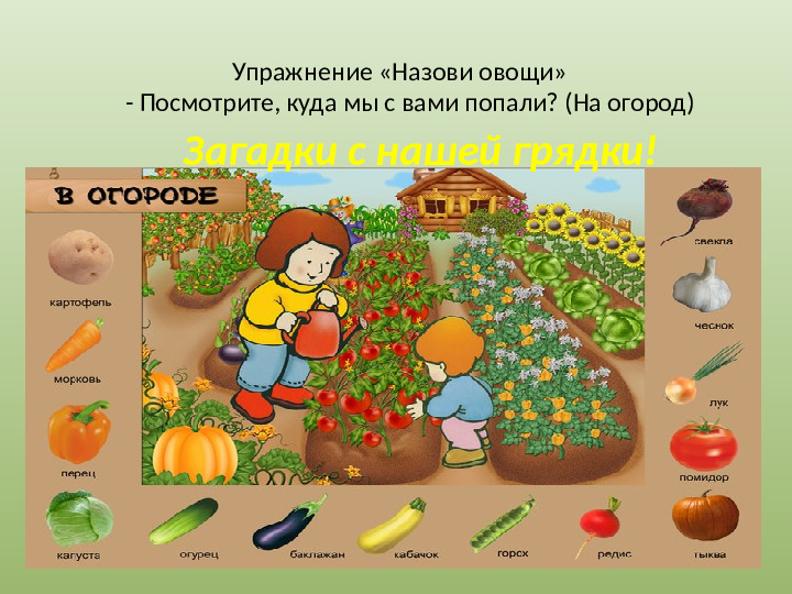 Презентация "Осенний урожай" (прилагается к конспекту "Осенний урожай")