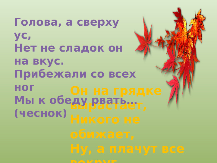 Презентация "Осенний урожай" (прилагается к конспекту "Осенний урожай")