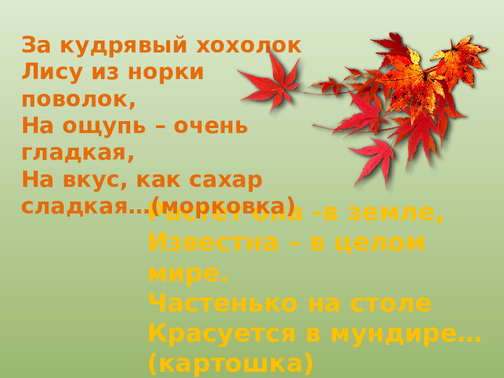 Презентация "Осенний урожай" (прилагается к конспекту "Осенний урожай")