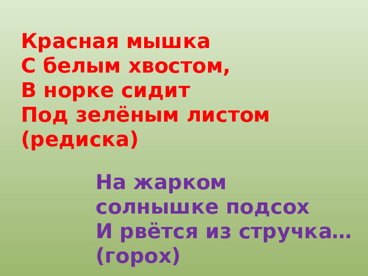 Презентация "Осенний урожай" (прилагается к конспекту "Осенний урожай")