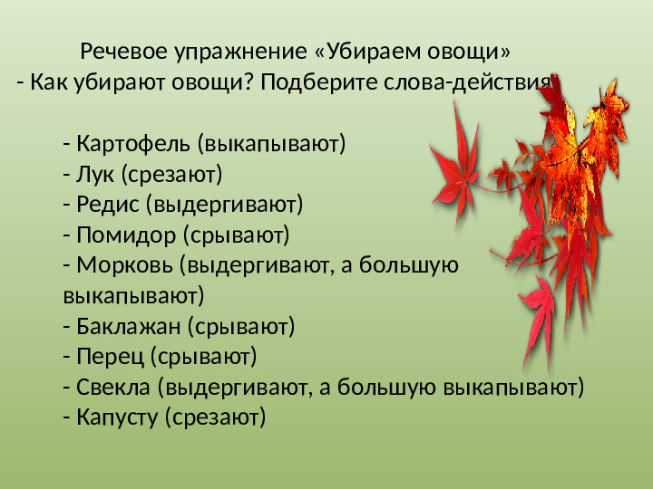 Презентация "Осенний урожай" (прилагается к конспекту "Осенний урожай")